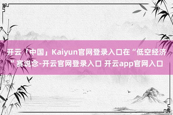 开云「中国」Kaiyun官网登录入口在“低空经济”赛说念-开云官网登录入口 开云app官网入口