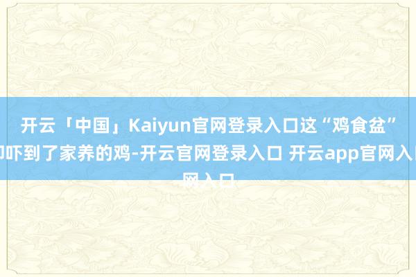 开云「中国」Kaiyun官网登录入口这“鸡食盆”却吓到了家养的鸡-开云官网登录入口 开云app官网入口