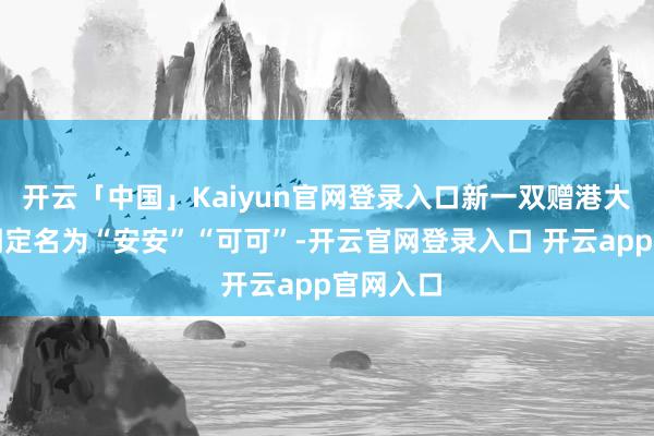 开云「中国」Kaiyun官网登录入口新一双赠港大熊猫阐明定名为“安安”“可可”-开云官网登录入口 开云app官网入口
