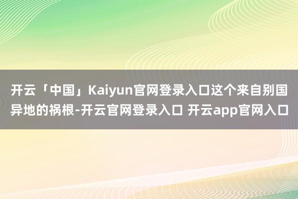 开云「中国」Kaiyun官网登录入口这个来自别国异地的祸根-开云官网登录入口 开云app官网入口