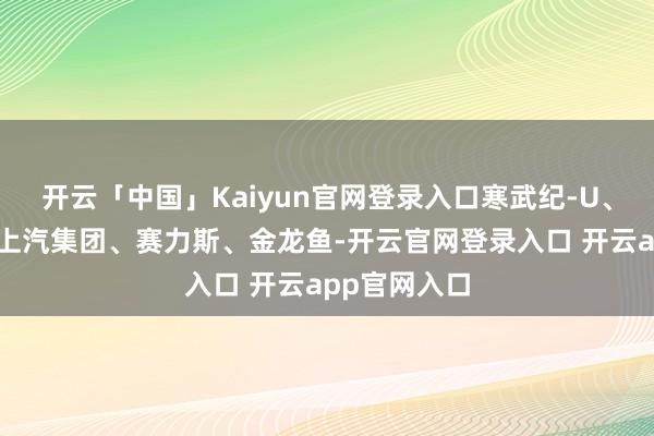 开云「中国」Kaiyun官网登录入口寒武纪-U、中信建投、上汽集团、赛力斯、金龙鱼-开云官网登录入口 开云app官网入口