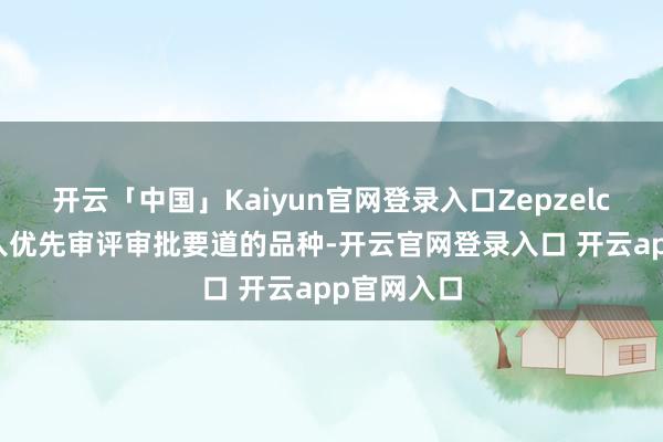 开云「中国」Kaiyun官网登录入口Zepzelca)动作纳入优先审评审批要道的品种-开云官网登录入口 开云app官网入口