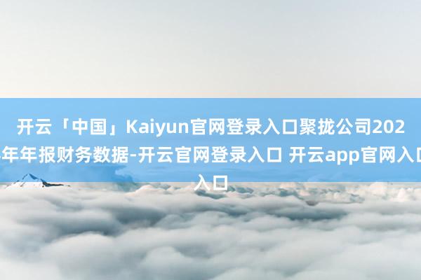 开云「中国」Kaiyun官网登录入口聚拢公司2024年年报财务数据-开云官网登录入口 开云app官网入口