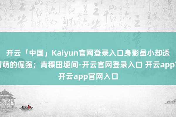开云「中国」Kaiyun官网登录入口身影虽小却透出信仰初萌的倔强；青稞田埂间-开云官网登录入口 开云app官网入口