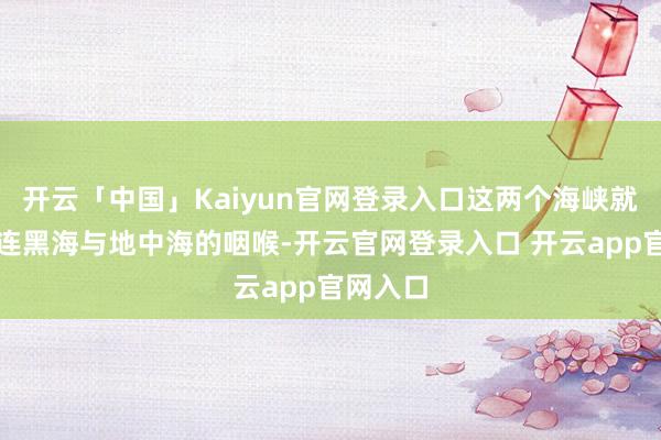 开云「中国」Kaiyun官网登录入口这两个海峡就像是相连黑海与地中海的咽喉-开云官网登录入口 开云app官网入口