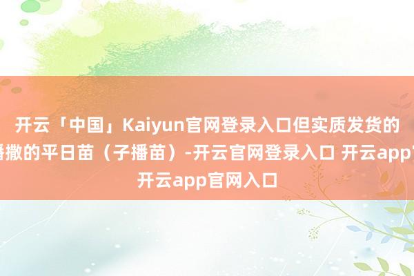 开云「中国」Kaiyun官网登录入口但实质发货的是周围播撒的平日苗（子播苗）-开云官网登录入口 开云app官网入口