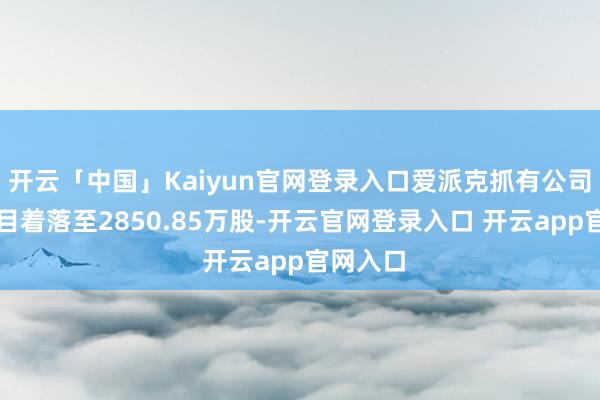 开云「中国」Kaiyun官网登录入口爱派克抓有公司股份数目着落至2850.85万股-开云官网登录入口 开云app官网入口