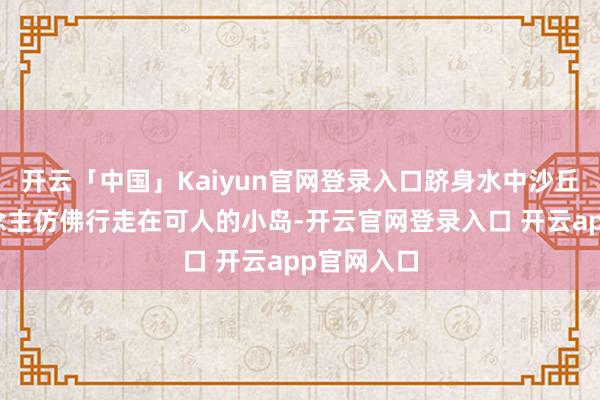 开云「中国」Kaiyun官网登录入口跻身水中沙丘的游东说念主仿佛行走在可人的小岛-开云官网登录入口 开云app官网入口