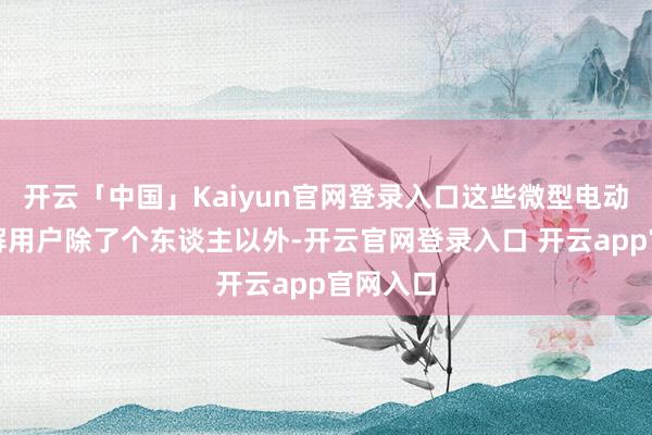 开云「中国」Kaiyun官网登录入口这些微型电动车的见解用户除了个东谈主以外-开云官网登录入口 开云app官网入口