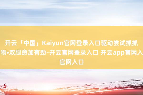 开云「中国」Kaiyun官网登录入口驱动尝试抓抓玩物•双腿愈加有劲-开云官网登录入口 开云app官网入口