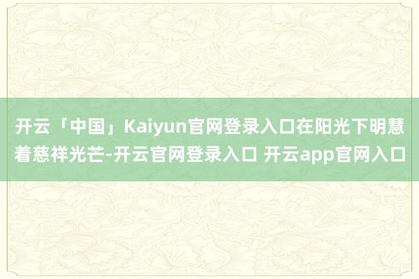 开云「中国」Kaiyun官网登录入口在阳光下明慧着慈祥光芒-开云官网登录入口 开云app官网入口