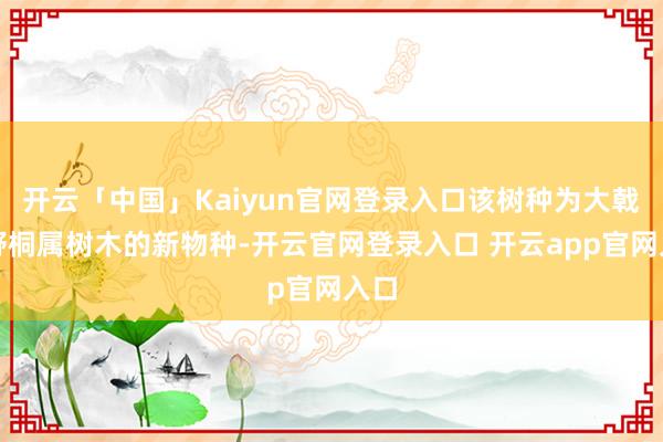 开云「中国」Kaiyun官网登录入口该树种为大戟科野桐属树木的新物种-开云官网登录入口 开云app官网入口