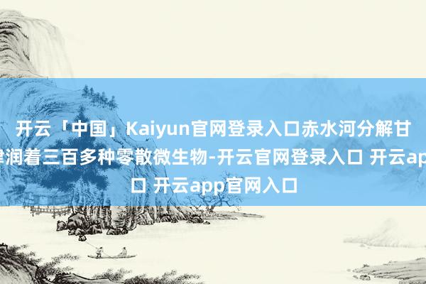 开云「中国」Kaiyun官网登录入口赤水河分解甘甜的水源津润着三百多种零散微生物-开云官网登录入口 开云app官网入口