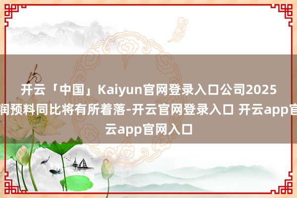 开云「中国」Kaiyun官网登录入口公司2025年净利润预料同比将有所着落-开云官网登录入口 开云app官网入口
