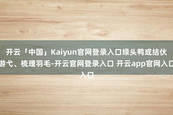 开云「中国」Kaiyun官网登录入口绿头鸭或结伙游弋、梳理羽毛-开云官网登录入口 开云app官网入口